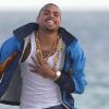 Chris Brown sur une plage de Miami le 17 février 2012.