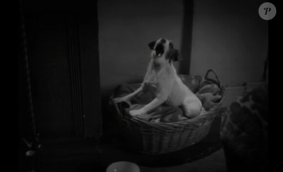 Uggie, le chien de The Artist, dans la série Bref.