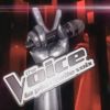 The Voice cartonne tous les samedis sur TF1