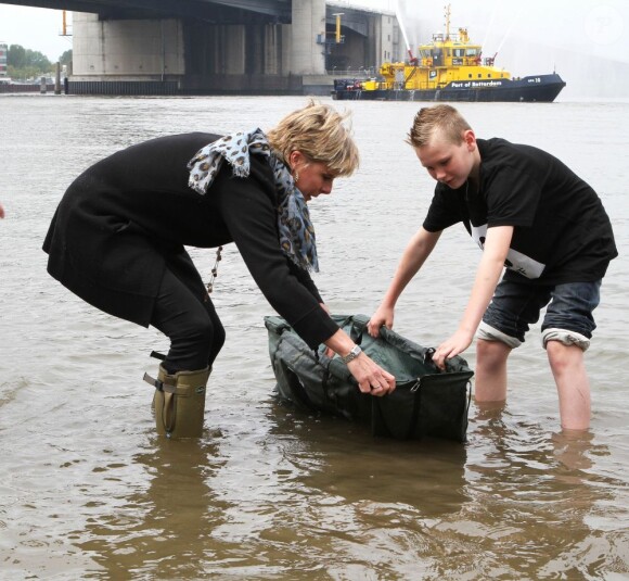 A vos marques... Prêts...
La princesse Laurentien des Pays-Bas procédait le 9 mai 2012 au lâcher de trois esturgeons dans la Nouvelle Meuse, à Rotterdam, dans le cadre de la campagne de la WWF de réintroduction de l'espèce, disparue depuis 1953, dans les cours d'eau aux Pays-Bas.