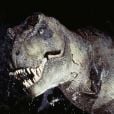 Le T-Rex dans   Jurassic Park  (1993) réalisé par Steven Spielberg. 