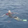 Richard Branson nage avec les requins-baleines au large des îles Mujeres  le 9 juillet 2012