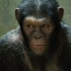 Andy Serkis dans La Planètes des singes : Les origines de Rupert Wyatt.