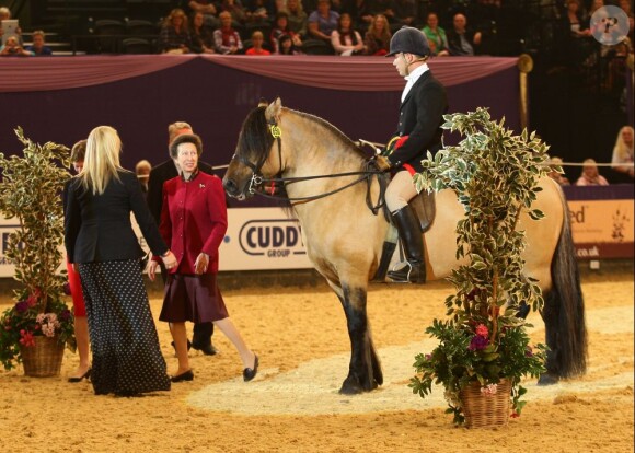 La princesse Anne au Royal Horse Show 2012 à Birmingham le 4 octobre 2012