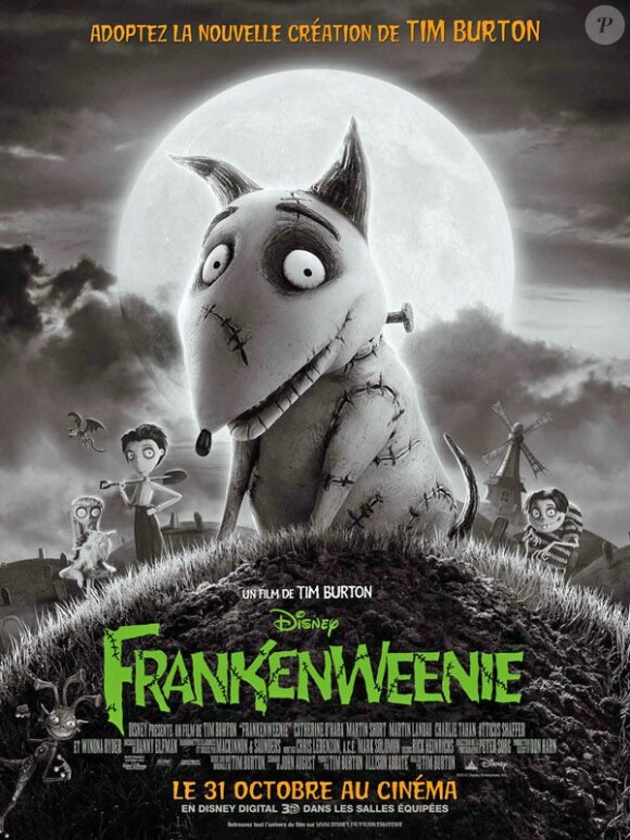 Affiche du film Frankenweenie