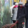 Anne Hathaway se balade incognito avec son chien dans les rues de New York, le 24 novembre 2012.