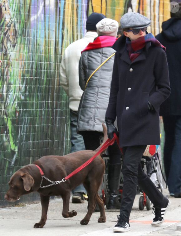 Anne Hathaway se balade incognito avec son chien dans les rues de New York, le 24 novembre 2012.