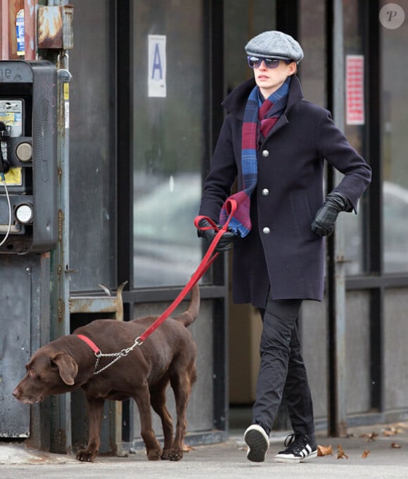 Anne Hathaway se balade avec son chien en laisse dans les rues de New York, le 24 novembre 2012.