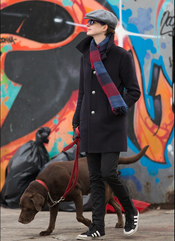 Anne Hathaway se balade avec son chien dans les rues de New York, le 24 novembre 2012.