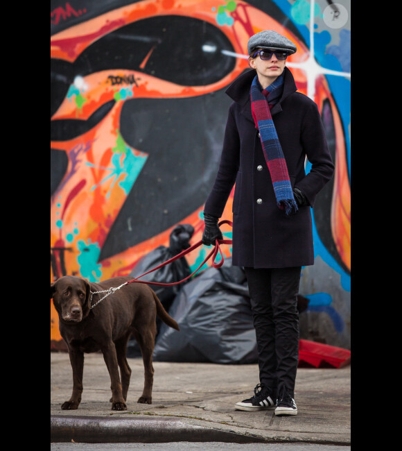 Anne Hathaway, incognito, se balade avec son chien dans les rues de New York, le 24 novembre 2012