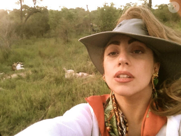 Lady GaGa publie les photos de son safari sur son compte Twitter, le 30 novembre 2012, jour de son concert à Johannesburg, Afrique du Sud.