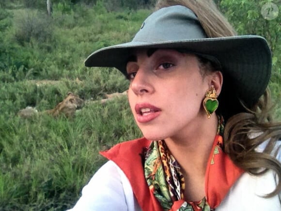 Lady GaGa publie les photos de son safari sur son compte Twitter, le 30 novembre 2012, jour de son concert à Johannesburg.