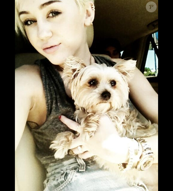 Miley Cyrus pose avec sa défunte petite chienne Lila, le 28 août 2012 sur son compte Twitter.