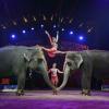 Le 37e Festival international du Cirque de Monte-Carlo le 18 janvier 2013