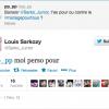 Louis Sarkozy se déclare en faveur du mariage pour tous, sur Twitter le 3 février 2013.