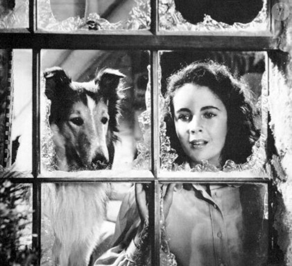Elizabeth Taylor et Lassie en 1943