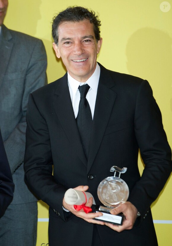 Antonio Banderas lors de la Cérémonie de remise de prix en l'honneur des ambassadeurs de la marque "Spain" à Madrid, le 12 février 2013