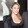 La chanteuse Shakira assiste à l'exposition du photographe Jaume De Laiguana à Barcelone le 28 fevrier 2013.