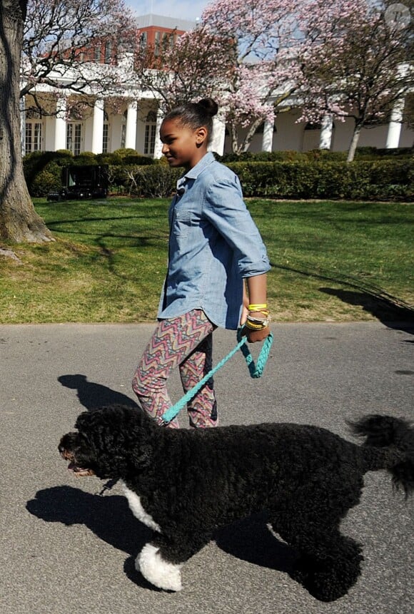 Sasha Obama et le chien Bo pour la traditionnelle chasse aux oeufs de la Maison Blanche, le 1er avril 2013.
