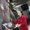 La princesse Stéphanie de Monaco, qui ''a dû être éléphant dans une vie antérieure'' selon ses propres mots, le 15 janvier 2013 lors de la conférence de presse du Festival du cirque de Monte-Carlo.