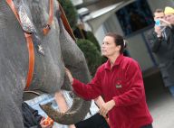 Baby et Nepal bientôt à Monaco : La princesse Stéphanie "a tenu ses engagements"