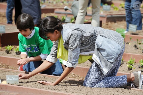 La First Lady Michelle Obama plante des légumes dans le potager de la Maison Blanche. L'épouse de Barack Obama était entourée d'élèves. Washington le 4 avril 2013.