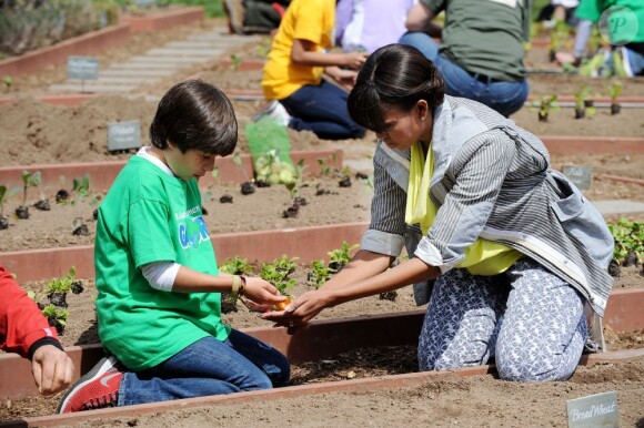 La First Lady Michelle Obama plante des légumes dans le potager de la Maison Blanche. L'épouse de Barack Obama était comme toujours entourée d'élèves. Washington le 4 avril 2013.