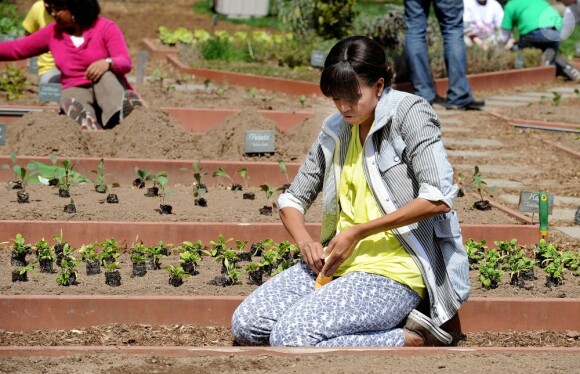 Michelle Obama plante des légumes dans le potager de la Maison Blanche. L'épouse de Barack Obama était comme toujours entourée d'élèves. Washington le 4 avril 2013.