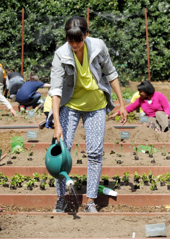 La First Lady Michelle Obama plante des légumes dans le potager de la Maison Blanche. L'épouse de Barack Obama était comme toujours entourée d'élèves. Washington le 4 avril 2013.