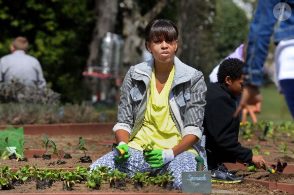 La First Lady Michelle Obama plante des légumes dans le potager de la Maison Blanche. L'épouse de Barack Obama était comme toujours entourée d'élèves. Washington le 4 avril 2013.