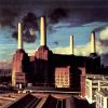 Pink Floyd, Pigs, un monument de la contestation au Royaume-Uni dans les années 1970 alors que se profilent les années Thatcher.