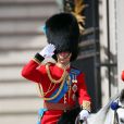  Le prince William lors des cérémonies de Trooping the Colour le 15 juin 2013 à Londres. 
