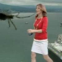 Terrifiée par une araignée, une miss météo offre une séquence mythique en live