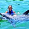 Chiara Picone, compagne de Javier Pastore, nage au milieu des dauphins, lors de ses vacances à Cancun en juillet 2013