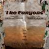 Affiche du film The Canyons