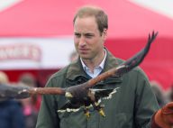Prince William : Adieux émouvants à Anglesey, bébé George paré pour l'Australie
