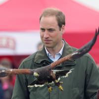 Prince William : Adieux émouvants à Anglesey, bébé George paré pour l'Australie