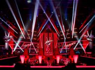 The Voice Kids : Trois coachs pour la version enfants du concours télé ?