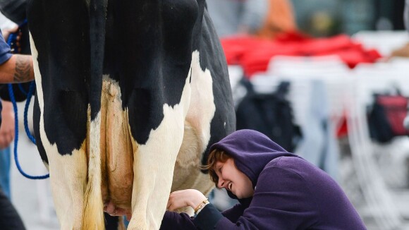 Lena Dunham, fermière déjantée : Elle trait une vache en plein New York !
