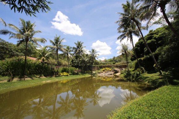 Le photographe Sebastiao Salgado reçoit le prince Albert de Monaco dans sa propriété de Fazenda Bulcao, situé dans la vallée de Rio Dulce dans le Minas Gerais au Bresil, le 13 février 2013. Il lui fait visiter sa fondation "O Instituto Terra", l'ONG la plus importante en matière de reforestation au Brésil.