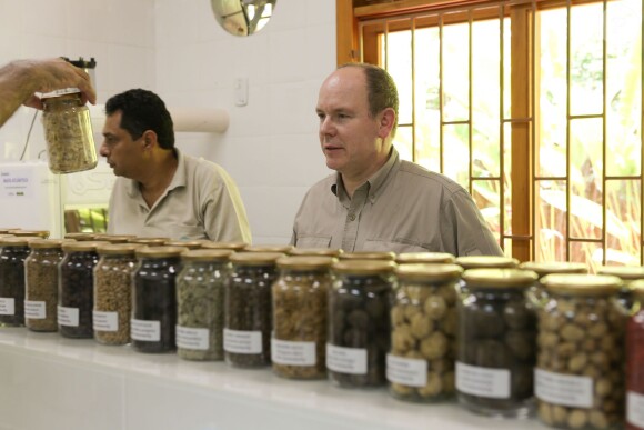 Le photographe Sebastiao Salgado reçoit le prince Albert de Monaco dans sa propriété de Fazenda Bulcao, situé dans la vallée de Rio Dulce dans le Minas Gerais au Bresil, le 13 février 2013. Il lui fait visiter sa fondation "O Instituto Terra", l'ONG la plus importante en matière de reforestation au Brésil.