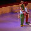 Exclusif - Stella Belmondo en petit clown lors du 52e Gala de l'union des artistes au Cirque d'hiver à Paris le 19 novembre 2013.