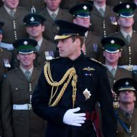 Le prince William et Camilla auprès des troupes, Charles en Afrique du Sud