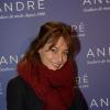 Shirley Bousquet à l'inauguration de la nouvelle boutique "André" à Paris, le 10 décembre 2013.