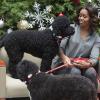 Michelle Obama en compagnie de ses chiens Bo et Sunny et du Père Noël lors d'une lecture du conte de Noël The Night Before Christmas au Children's National Medical Center de Washington, le 16 décembre 2013