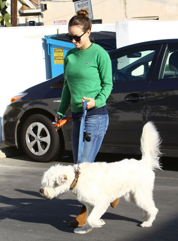 La jolie Olivia Wilde, enceinte, dépose son chien au camp pour animaux domestique K-9 Camp à Los Angeles, le 20 décembre 2013.
