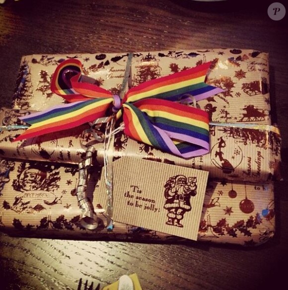 Tom Daley a reçu un cadeau aux couleurs du drapeau gay de sa tante Marie, le 25 décembre 2013.