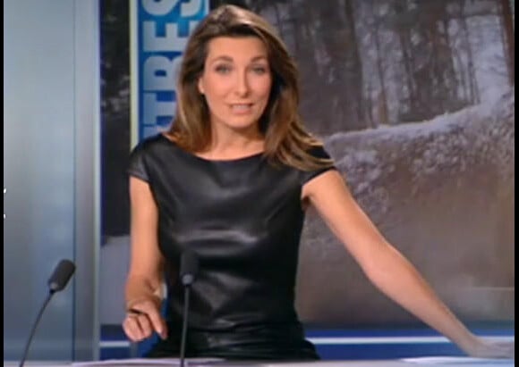 Anne-Claire Coudray le 22 décembre 2013 sur TF1.
