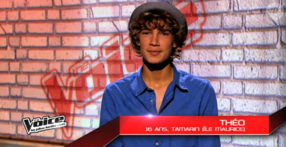 Théo dans The Voice 3 sur TF1 le samedi 1er février 2014