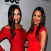 Brie Bella et Nikki Bella à Los Angeles, le 4 décembre 2013.